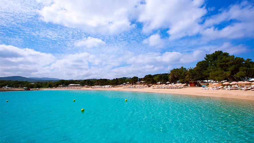 Cala Bassa — pine-backed beach with turquoise shallow water